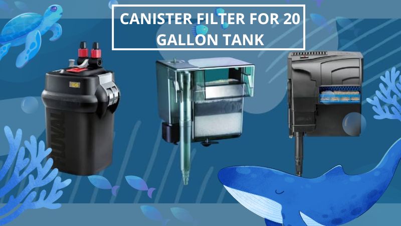 Canister Filter For 20 Gallon Tank