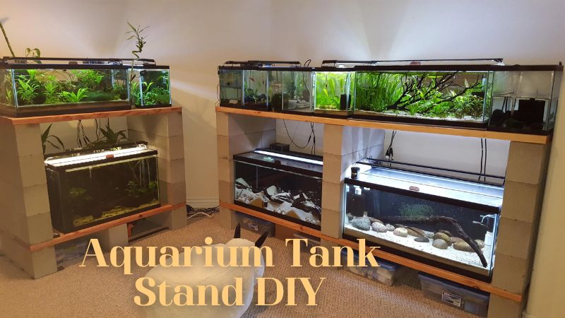 Aquarium Tank Stand DIY: Building Your Own Custom Aquarium Stand