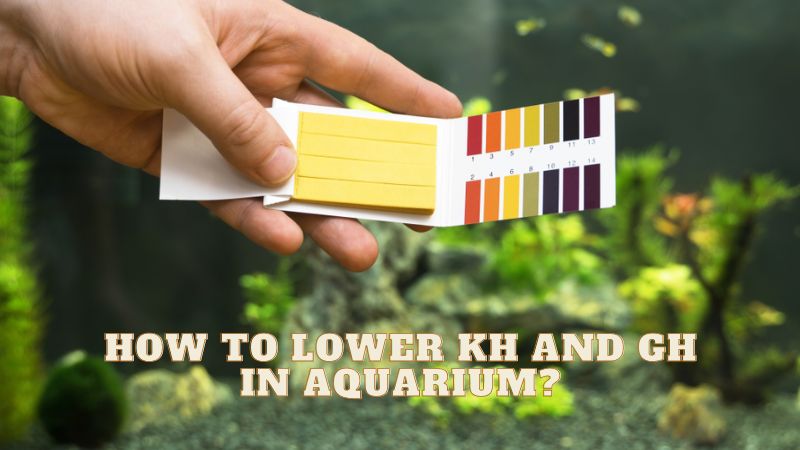 How To Lower KH And GH In Aquarium?